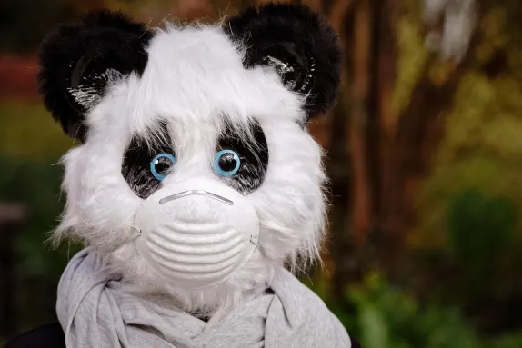 Casino Mars Bet Tugi